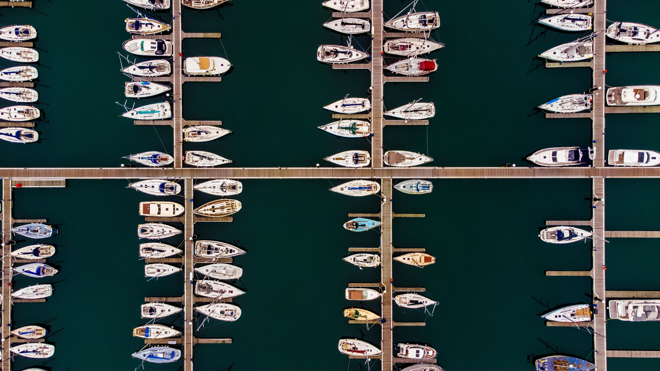 Boats docked at a marina suitable for bimini top and canvas work